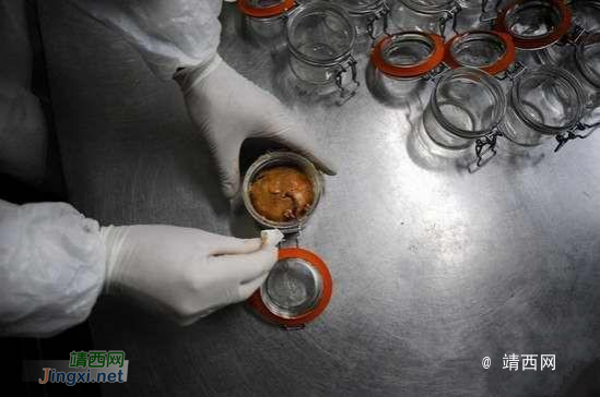 颠覆三观，顶级法国鹅肝美食，是这样“生产”的 - 靖西市·靖西网