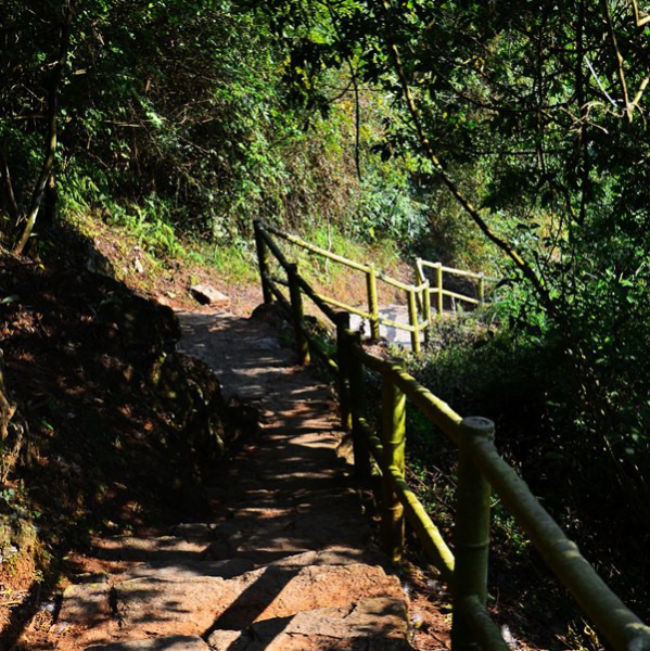 穿越峡谷溶洞，靖西古龙山景区徒步爽 - 靖西市·靖西网