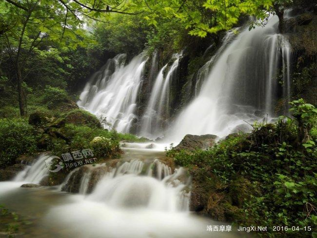 靖西爱布瀑布群：山涧白练撼岳轰鸣 - 靖西市·靖西网