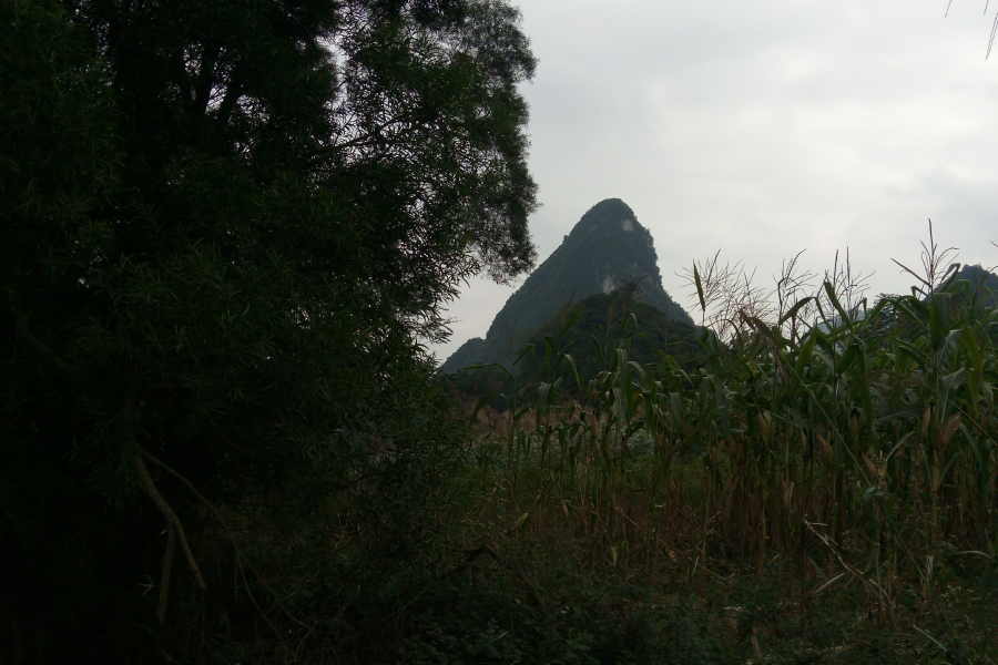 这地方可以让人们眼前一亮。 - 靖西市·靖西网