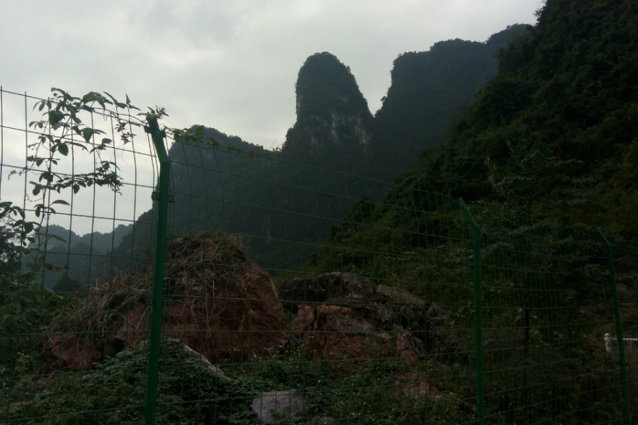 这地方可以让人们眼前一亮。 - 靖西市·靖西网