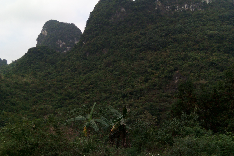 这地方可以让人们眼前一亮。 - 靖西市·靖西网