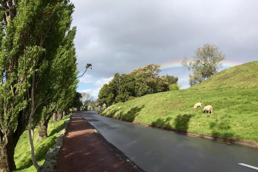 山坡有羊斜阳照，天边无雨挂彩虹。 - 靖西市·靖西网