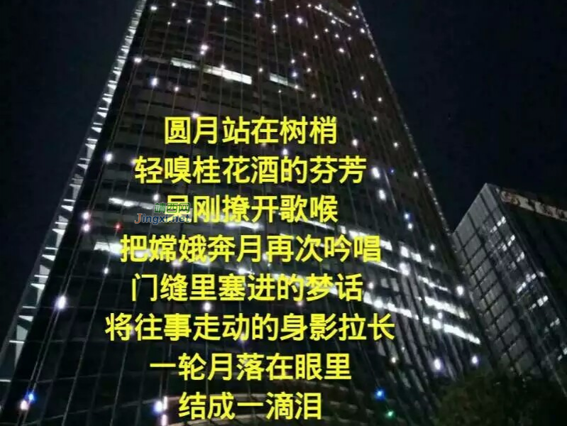 真情无悔--为你而醉---（七彩神笔）总也拾不回遗落的眼泪用心去追. - 靖西市·靖西网