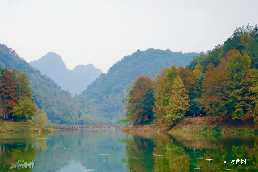 德保红枫森林公园：一年一度秋风劲，又见满山枫叶红。 - 靖西市·靖西网