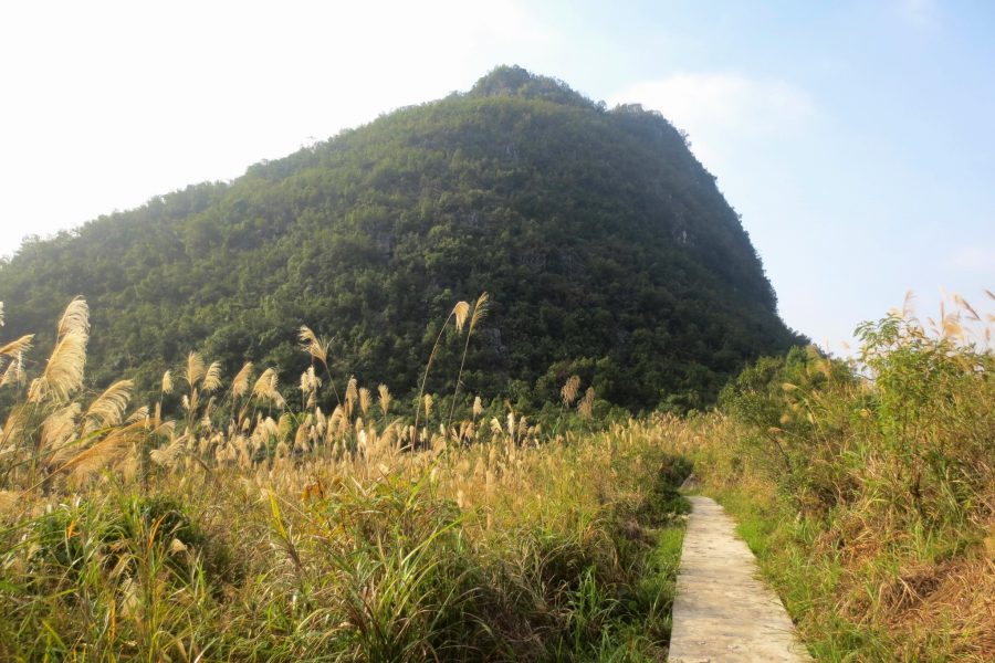 秋景随拍 - 靖西市·靖西网