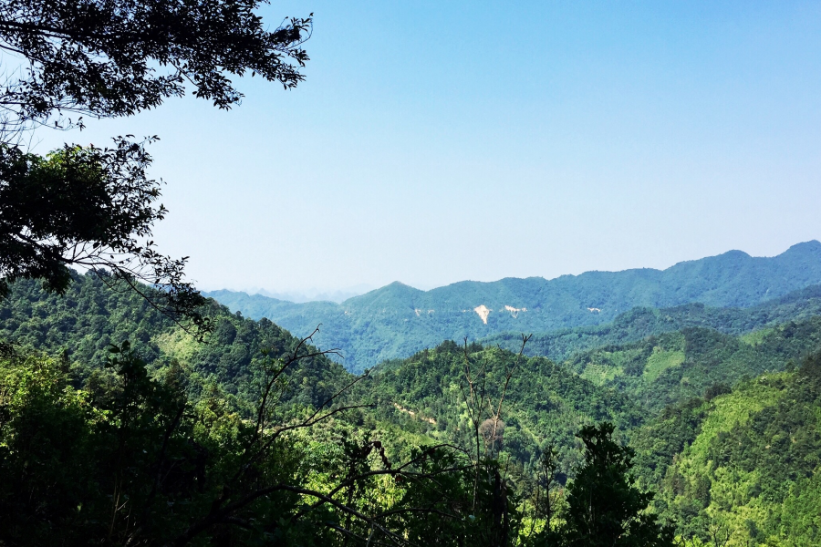 靖西小高原-----乌鸦山 - 靖西市·靖西网