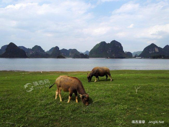 这不是童话世界,这是靖西！ - 靖西市·靖西网