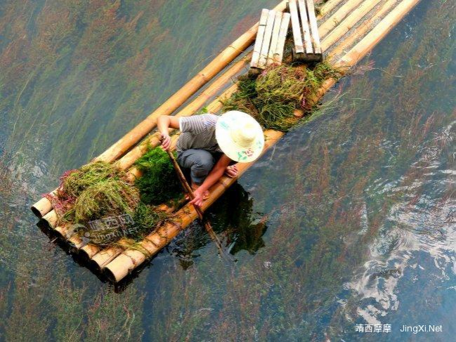 这不是童话世界,这是靖西！ - 靖西市·靖西网