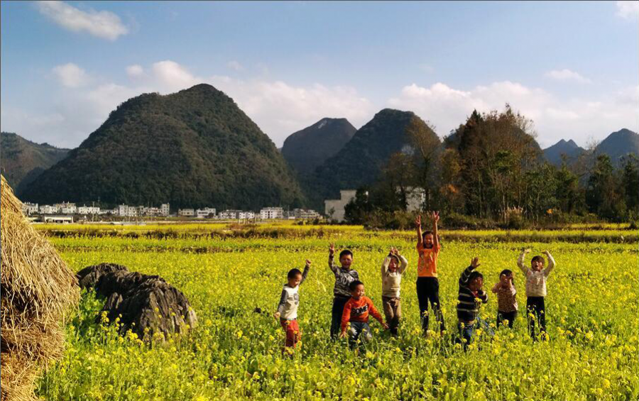 乐业县五万亩油菜花开盛似画卷 - 靖西市·靖西网