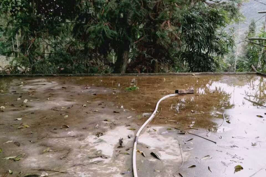 靖西南坡有多少是靠这样的雨水生活的？ - 靖西市·靖西网