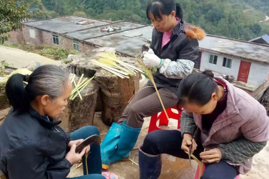 杀年猪腊猪肉，劈竹条洗粽味包粽子，买新衣穿新鞋！大家一起忙起来吧 - 靖西市·靖西网