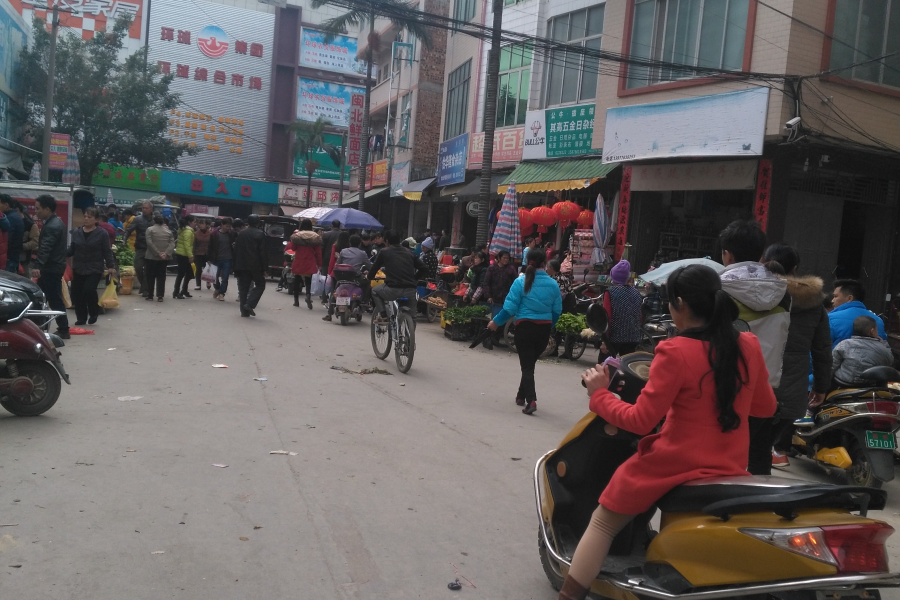 原来靖西过年这么热闹，鸡鸭灯笼齐集大街小巷！人挤人 - 靖西市·靖西网