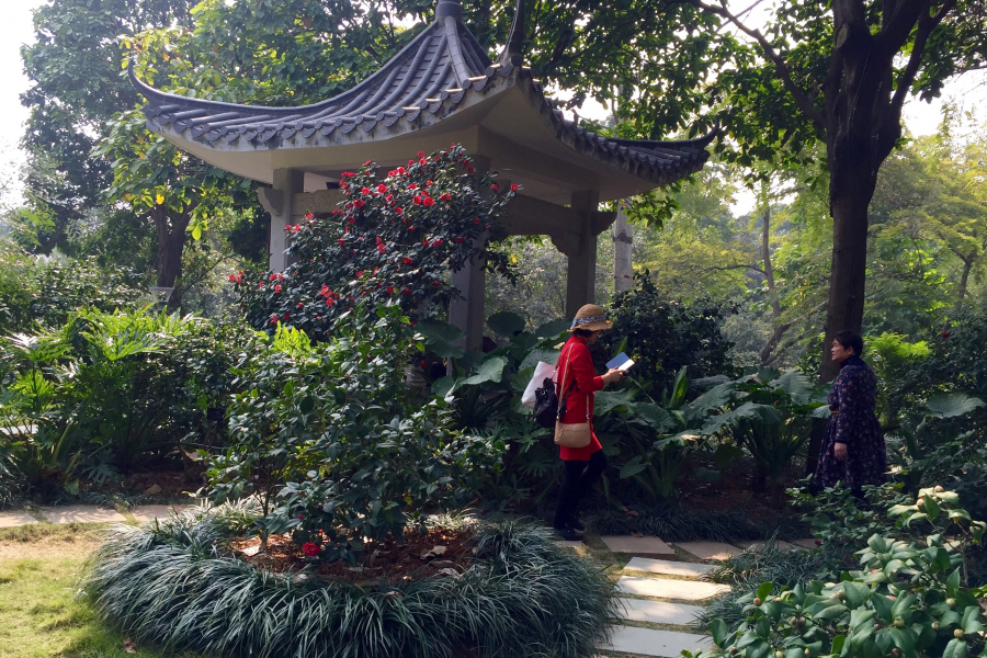大年初二，或许人们都郊游去了吧，小区里静悄悄的，宁静得像一潭. - 靖西市·靖西网