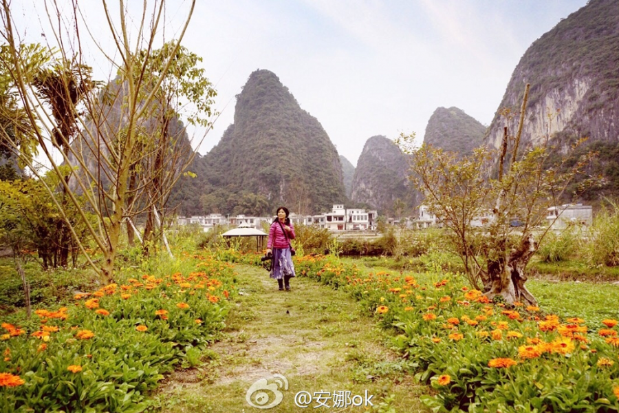 靖西：十里桃花开，三生三世 - 靖西市·靖西网