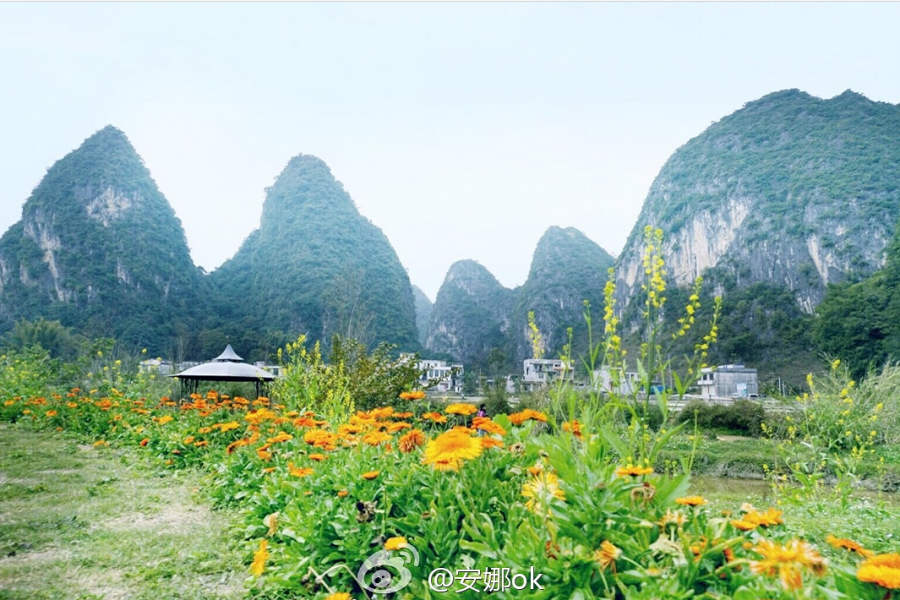 靖西：十里桃花开，三生三世 - 靖西市·靖西网