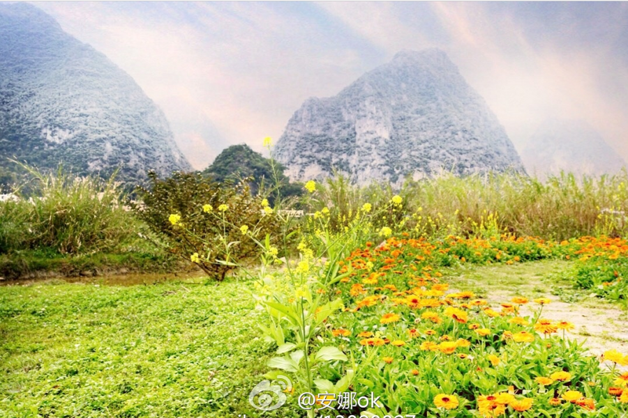 靖西：十里桃花开，三生三世 - 靖西市·靖西网