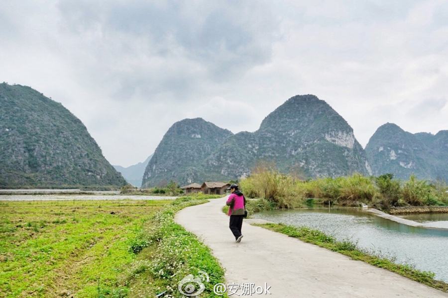 靖西：十里桃花开，三生三世 - 靖西市·靖西网