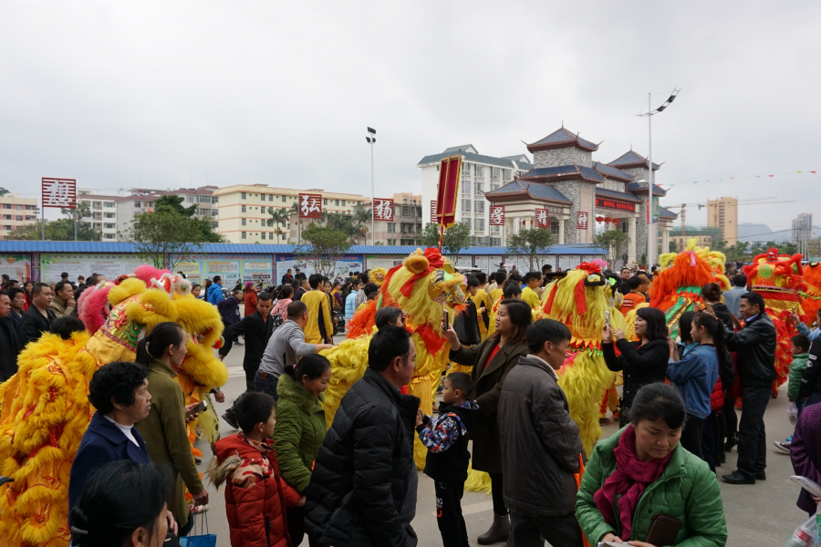 靖西2017年春节祈福民俗大巡游 - 靖西市·靖西网