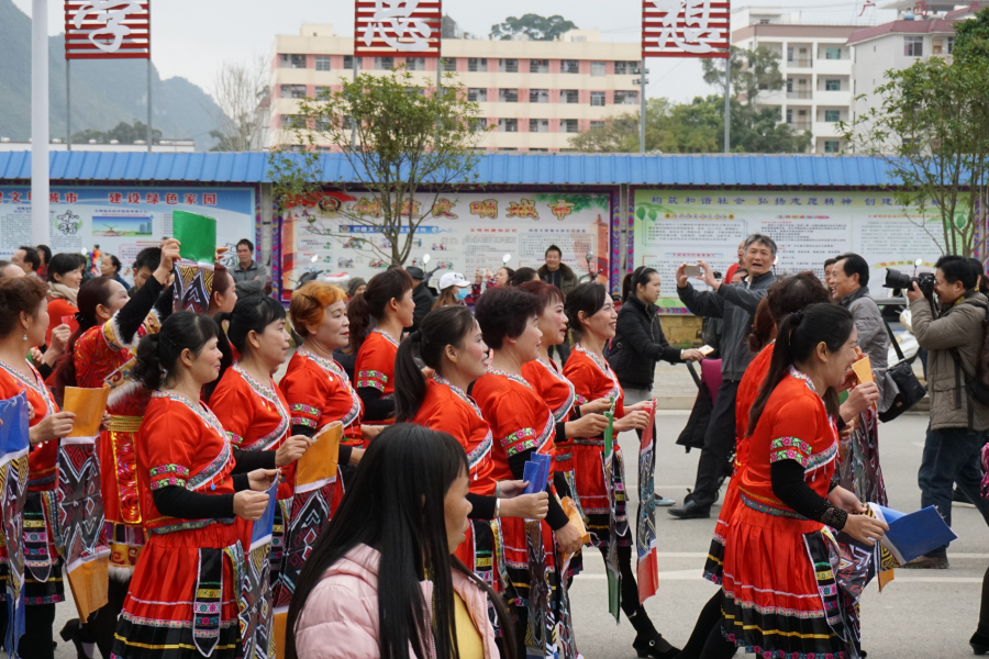 靖西2017年春节祈福民俗大巡游 - 靖西市·靖西网