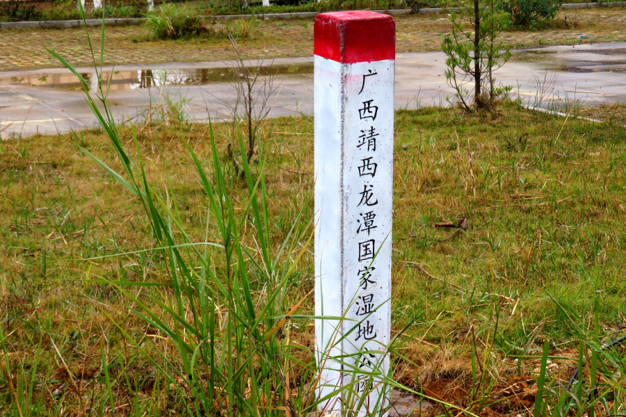 湿地公园第一柱。 - 靖西市·靖西网