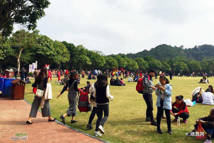 小区里春意盎然，到处张灯结彩喜迎新年。 - 靖西市·靖西网