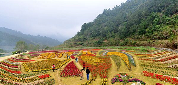 德保：新年首月旅游揽金1.56亿元！靖西 德保加油！ - 靖西市·靖西网