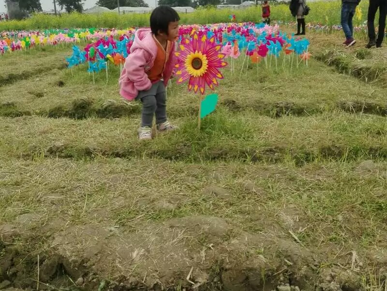 话题：分享2017年春节你身边最美的照片！ - 靖西市·靖西网