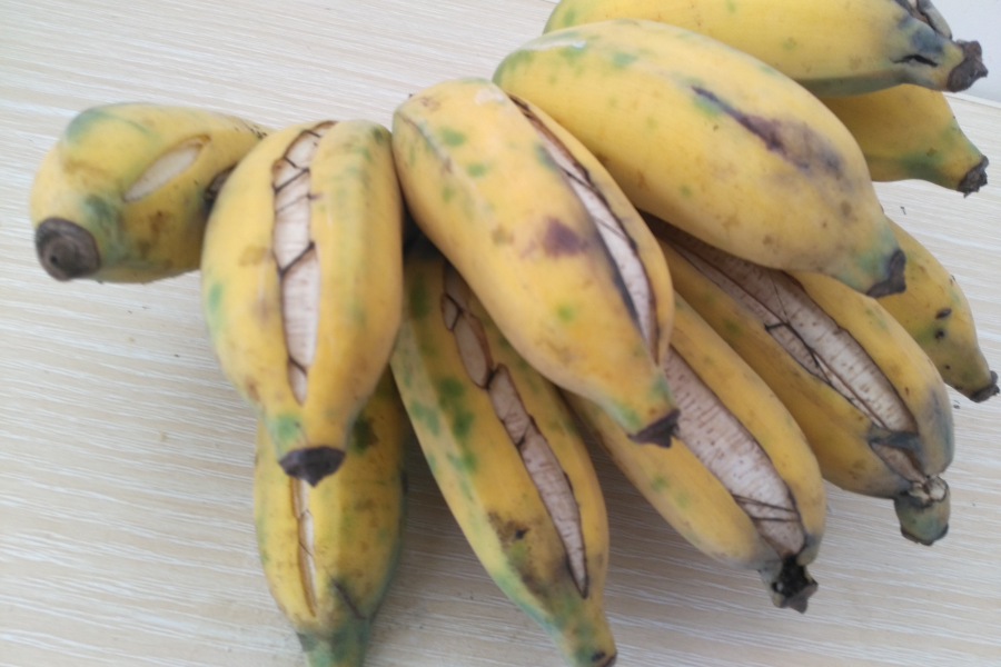 我买到的这香蕉是自然熟吗？自然熟与催熟有什么区别 - 靖西市·靖西网