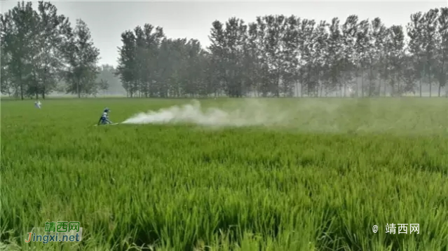 春节过后，这7个好消息让你激情不断！ - 靖西市·靖西网