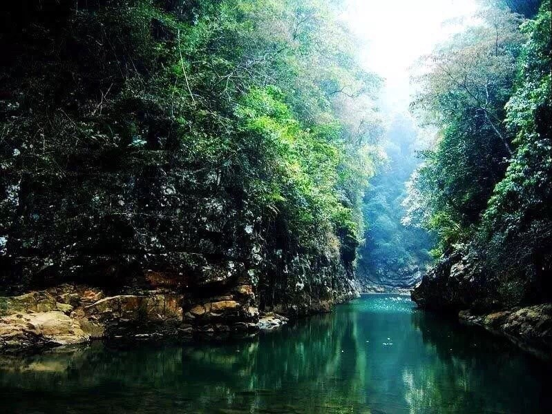 四季如春的靖西，这里山清水秀 - 靖西市·靖西网