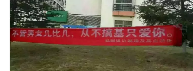 嗯！男同胞祝女神们“三八”快乐 - 靖西市·靖西网