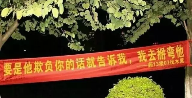 嗯！男同胞祝女神们“三八”快乐 - 靖西市·靖西网