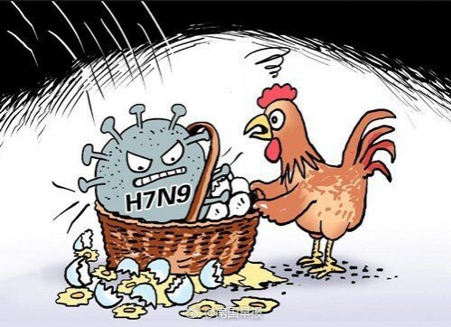 最新！广西新增3例H7N9病例，今年共报告13例 - 靖西市·靖西网