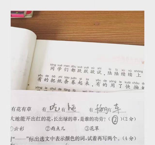 小学生的前途不可限量，脑洞很大，能抓住事物的主要矛盾 - 靖西市·靖西网