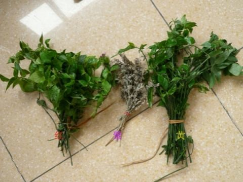 靖西人的五色糯米饭情结！ - 靖西市·靖西网