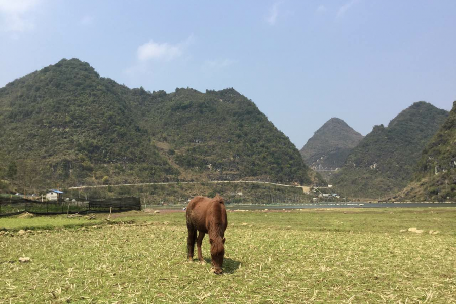 果乐乡连境湖，靖西市唯一地图上标注的天然湖。 - 靖西市·靖西网