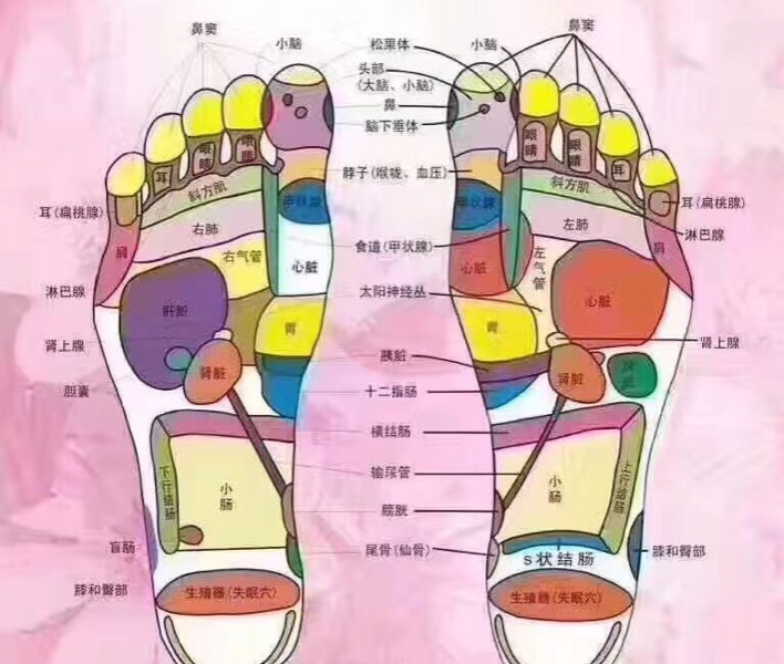 中医艾灸养生 - 靖西市·靖西网