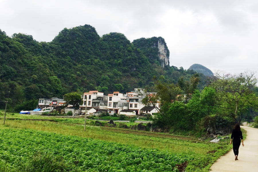 又是一年芳草绿，故乡遍地皆为春。 - 靖西市·靖西网