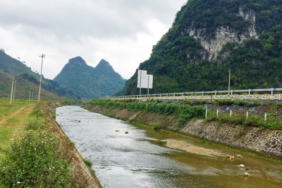 又是一年芳草绿，故乡遍地皆为春。 - 靖西市·靖西网