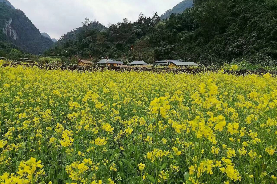 靖西念八部落 - 靖西市·靖西网