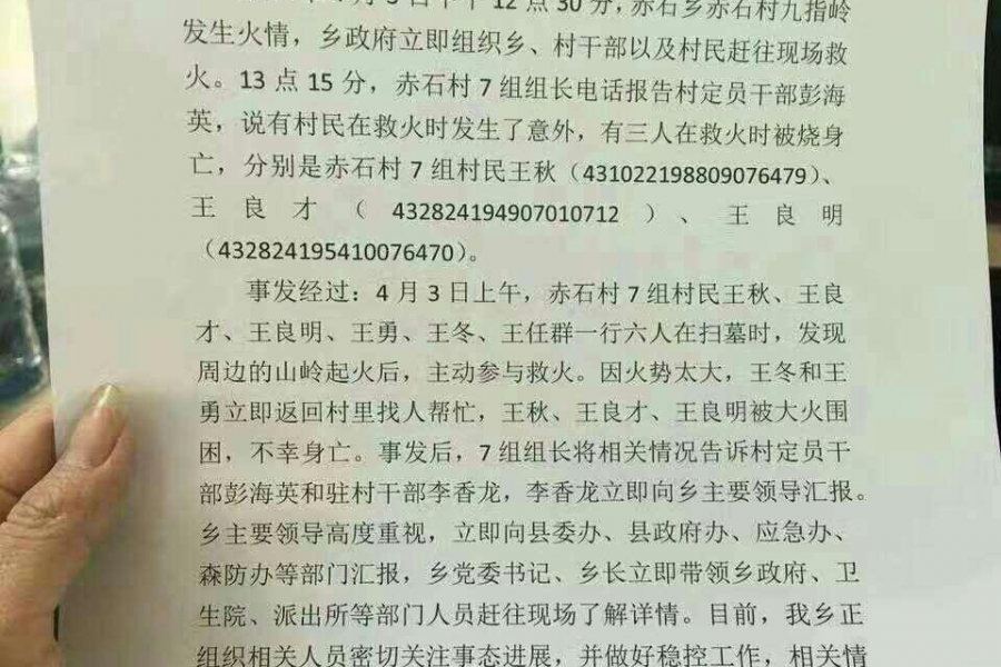 【视频】清明扫墓，见山被烧，参与救火，三人被大火烧死。 - 靖西市·靖西网