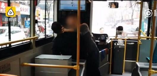 【视频】狗被公交碾死 女主人街边痛哭 男友打司机&nbsp;&nbsp;网友怎么看？ - 靖西市·靖西网