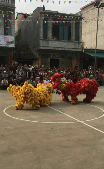 靖西福良村舞狮庆村庆，全村上下热闹一翻！ - 靖西市·靖西网