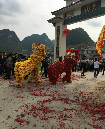 靖西福良村舞狮庆村庆，全村上下热闹一翻！ - 靖西市·靖西网