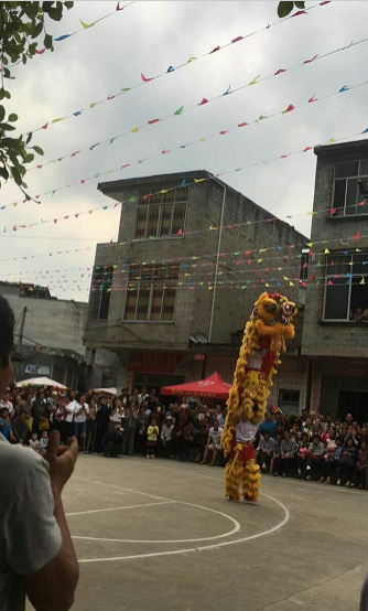 靖西福良村舞狮庆村庆，全村上下热闹一翻！ - 靖西市·靖西网