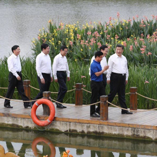 习近平总书记在广西：十九大前夕，总书记基层听民声，问计于民 - 靖西市·靖西网