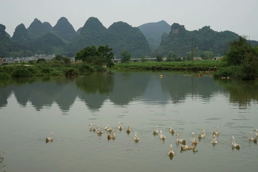 家乡风景，三友风光 - 靖西市·靖西网