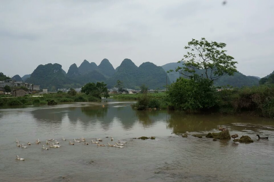 家乡风景，三友风光 - 靖西市·靖西网