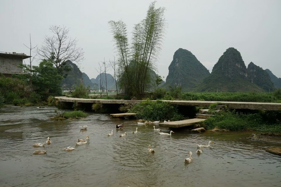 家乡风景，三友风光 - 靖西市·靖西网